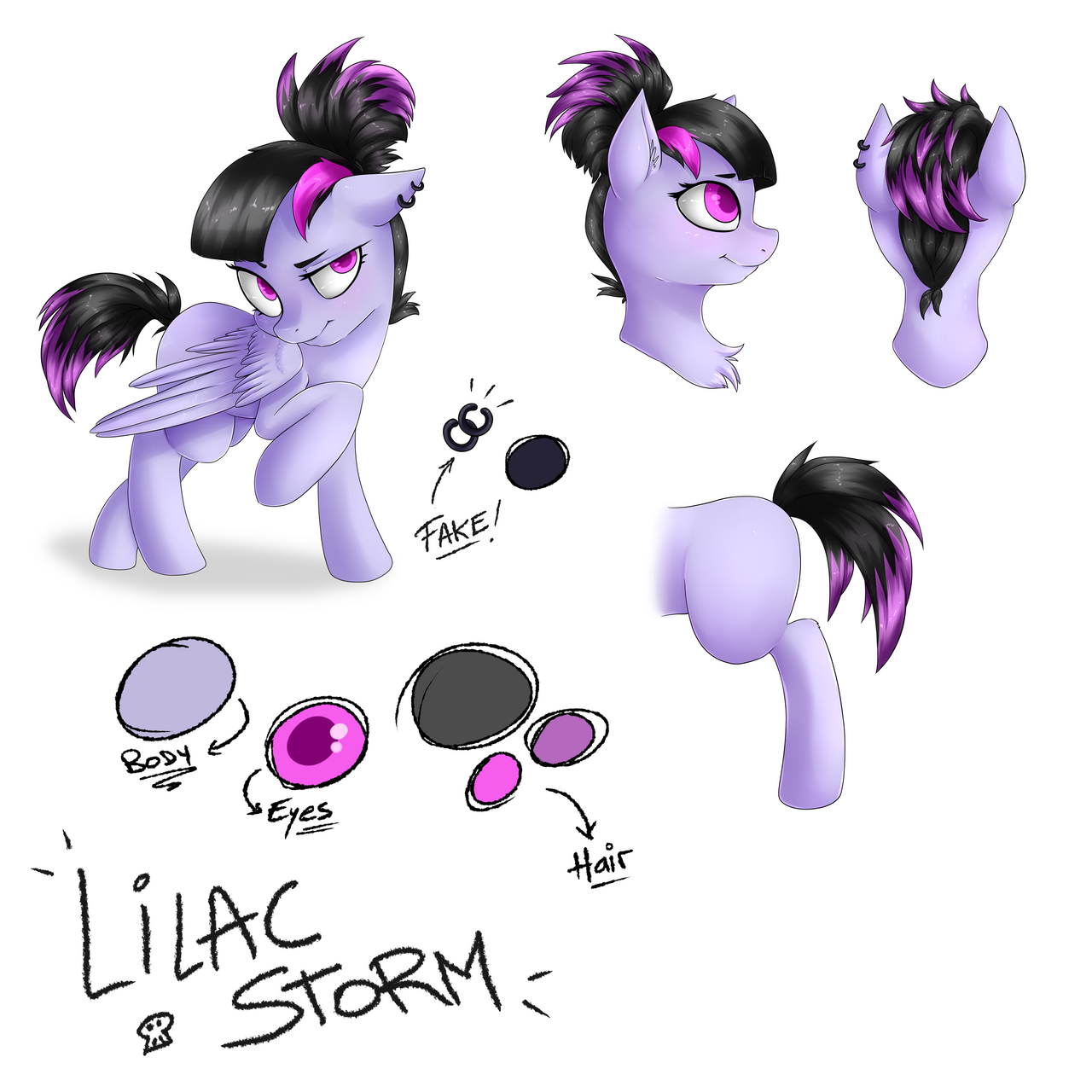 Lilac Storms reference sheet